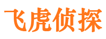 崇信市侦探调查公司